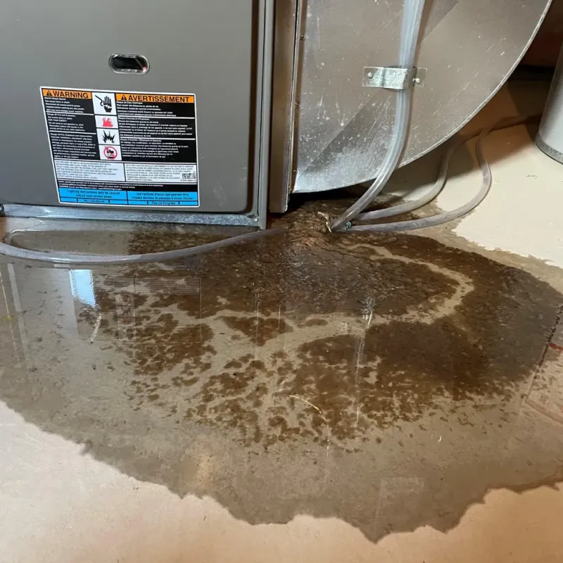 Appliance Leak Cleanup in Jim Thorpe, PA