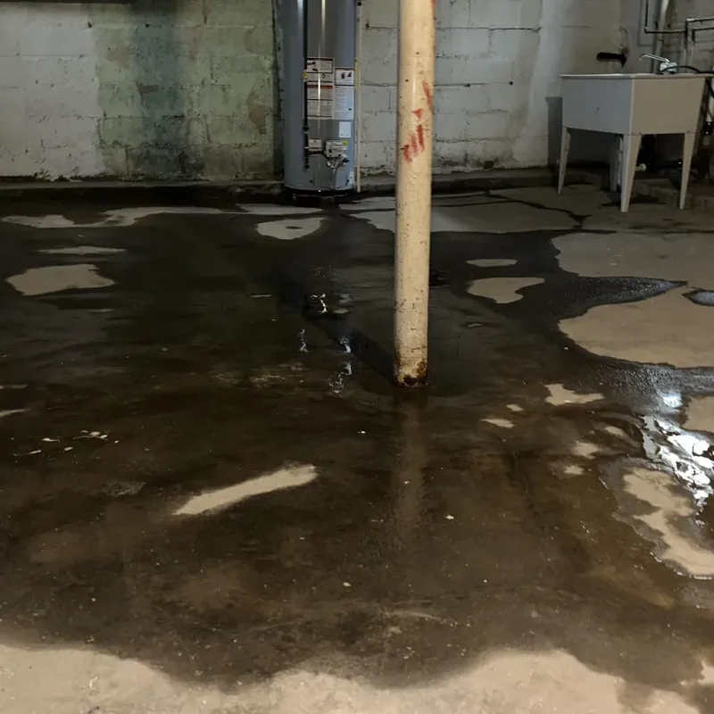 Emergency Water Extraction And Removal in Jim Thorpe, PA